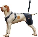 LISPOO Dog Hip Support Brace - Adjustable Dog Leg Brace for Hip Dysplasia/Arthritis/Pain Relief, Warm & Breathable Luxating Patella Stabilizer, Post-Surgery Recovery(Size XXL)