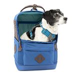 Kurgo Nomad Dog Carrier Backpack, Hiking Backpack for Small Dogs, Pet Travel Back Pack Carrier, Interior Safety Tether, Waterproof Bottom, Dual Carry Handles, Holds Pets Up to 15 lbs, Blue