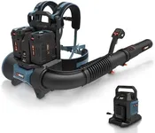 SENIX 60V Backpack Leaf Blower, 240