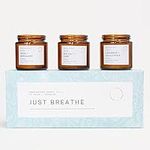 3 pcs Aromatherapy Scented Candles - Just Breathe Candles Gift Set for Women  | Hand-Poured Soy Wax with Essential Oils, Glass Candle Set with Gift Box | Perfect Valentines Day Gift