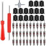 48Pcs Tire Tyre Valve Core Tool Set Dual Single Head Valve Stem Core Removal Remover Tire Repair Kit Tool 1 Pcs 4-Way Valve Tool 15 Pcs Tire Valve Caps 30 Pcs Valve Cores for Car/Bike/Bicycle/Truck