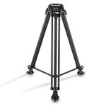 Proaim 75mm Telescopic Tripod Stand w/Tripod Shoes for DSLR Video Camera, Slider, Jib/Crane & Fluid Head. Payload up to 35kg/77lb. for Travel, Photography, Videography & Filmmaking (CST-75)