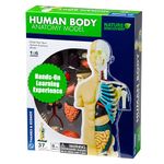 Thames & Kosmos Nature Discovery: Human Body Anatomy Model, Kids Science Kit, Learning Resources for Anatomy, 3D Anatomy Kit, Age 8+