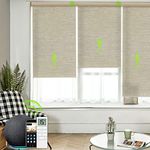Yoolax Motorized Smart Shade with R