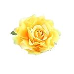 Lovefairy Beautiful Rose Flower Hai