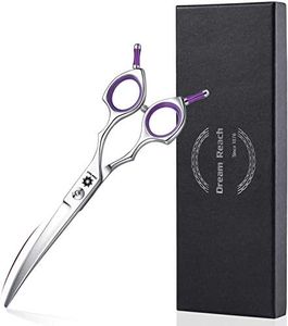 Dream Reach Fellschere 6,5 Inch Gebogene Hundeschere Katzenschere Hunde Haarschere Hundescheren zur Fellpflege für alle Hunde Katze Schneiden und Grooming Japanischer Edelstahl 440C Handarbeit violett