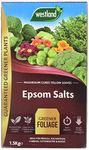 Westland 20600007 1.5 kg Epsom Salts Foliage Greener Fertilizer - Transparent