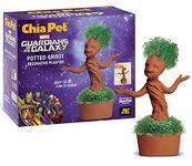 Chia Decorative Pottery Planter, Easy to Do and Fun to Grow, Novelty Gift, Potted Groot