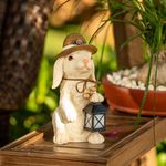 TERESA'S COLLECTIONS Bunny Garden Ornaments Outdoor, Rabbit Ornaments with Solar Garden Lights, Lovely Bunny for Garden Decorations, Garden Decoration Yard Lawn Patio, Garden Gifts,20CM