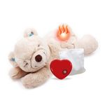 ALL FOR PAWS Little Buddy Heart Beat Sheep, Puppy Toy With Heartbeat Dog Training Toy For Separation Anxiety Relief Behavioral Aid For Pets,With One Heartbeat + One WarmBag