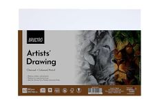 Brustro Artists Drawing Paper 160 GSM A3 Size, Pack of 30 Sheets