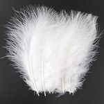 100pcs 4-6 Inches White Fluffy Turk