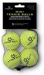 Hyper Pet MINI Tennis Balls for Dog