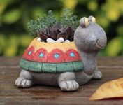 Vikarafty Multi Colour Turtle Shape Cartoon Cute Mini Succulent Pot Indoor Desktop Plant Holder Home Office & Garden Decor Small Cacti Bonsai Pot Flower Pot Creative Home & Garden