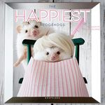 Graphique 2024 Happiest Hedgehogs M