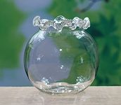 SHOBHANA ENTERPRISES Crystal Clear Glass Fish or Terrarium Round Bowl (12 inches)