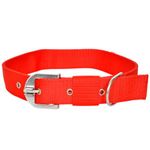 YOUNIQUE MERCHANDISE Fancy Nylon Export Quality Dog Collar (Medium, Red)