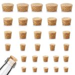 30 Pcs 6 Sizes Tapered Cork Plugs, Wine Bottle Corks Wood Bottle Corks Mini Wood Cork Stoppers Tapered Cork Plugs Replacement Small Craft Corks for Wine Beer Bottles Crafts Glass Bottle