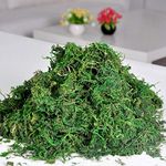 Fourwalls Artificial Preserved Reindeer Dried Moss for Artificial Plant pots, Terrariums, Planters, Arts & Crafts (900 Grams)