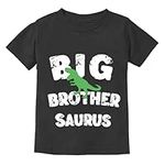 Boys' Dinosaur Short Sleeve Big Bro