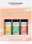 Tisserand Aromatherapy - The Little Box of Motivation - Happy Vibes, Find Focus, Energy Boost - 100% Natural Pure Essential Oils - 3x10ml