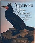 Audubon's Birds of America: The Roy