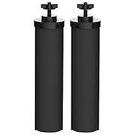 AQUA CREST NSF/ANSI 372 Certified Water Filter, Replacement for Berkey® BB9-2 Black Purification Elements and Berkey® Gravity Filter System, Pack of 2