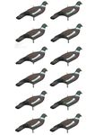 12 Pigeon Decoy Shells High Definition Decoying Shooting HD Painted Rocker Pegs