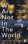 We Are Not in the World: ‘compelling and profoundly moving’ Irish Times