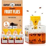 Super Ninja Fruit Fly Traps for Ind