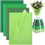 woric 160 Sheets Green Tissue Paper for Gift Bags, Assorted Green Gift Tissue Paper Bulk for Saint Patrick's Day DIY Arts Crafts Spring Wedding Birthday Decorations, 14 x 20 Inch