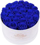 Forever Real Roses in Suede Box - 27-Piece Roses in a Luxury Box - Real Preserved Roses That Last Over a Year - Valentines Day Flowers for Delivery Prime - Mothers Day, Birthday (Royal Blue)