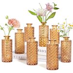 Anquephd Mini Bud Vases As Wedding Centerpieces for Tables,Clear Bud Vases for Flowers,Small Flower Vases Suitable for Birthday Party,Anniversary,Wedding Reception,Baby Shower (Amber, 8PCS)