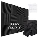 Acoustic Foam Panels - Pack of 12 F