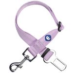 Blueberry Pet Essentials Classic Dog Seat Belt Tether for Dogs Cats, Lavender, Durable Safety Car Vehicle Seatbelts Leads Use with Harness