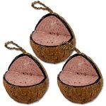 XL Fruit and Berry Suet Coconut Feeder, 3 Pack, Wild Bird Food, Butter for Birds, Hanging Feeder, Suet for Birds