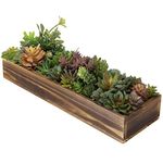 MyGift Artificial Succulent Centerpiece, 15 Inch Faux Succulents Arrangement Plants in Rustic Burnt Wood Rectangular Planter Box