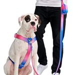 No-Pull Dog Harness - Designed for Safety and Control, Ideal for Large, Strong Breeds - Pitbulls, Boxers - Snow Cone - L