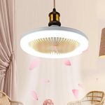 Bright Light Ceiling Fan