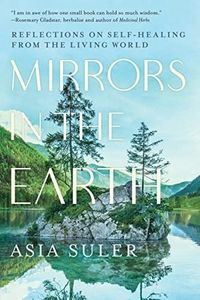Mirrors in