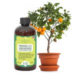 Premium Liquid Citrus Tree Plant Fertilizer - 3-1-2 Concentrate for Indoor Plants and Flowers by GardenNova | Organic Plant Food for Citrus Trees - 8oz