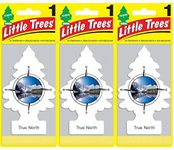 Little Trees True North Scent Air Freshener