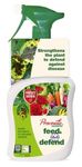 1L Organic, Fungus Feed & Defend Spray - 2in 1 - Fungus Control - Ideal Solution for Blackspot, Powdery Mildew, Rust, and Leaf Spot