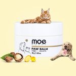 Moe Moisturising paw Balm enriched with Almond Oil and Vitamin E | 100% Natural | Soothes, Moisturises and Protect Paws | for Dogs and Cats (30 g) (Pack of 1)