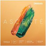 D'Addario Ascenté Viola Strings - A