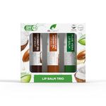 Dr Organic Lip Balm Gift Set, Moisturising, SPF 15, Assorted Multipack with Aloe Vera, Argan Oil, Coconut Oil, Natural, Vegetarian, Cruelty-Free, Paraben & SLS-Free, Organic, 5.7ml