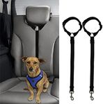 2 Packs Dog Cat Safety Seat Belt St