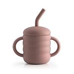 Cute 2-1 Silicone Straw Sippy Cup w