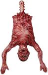 MOLEZU Hanging Torso Severed Skinned, Halloween Party Props Latex Limbless Hanging Half Body Corpse Haunted House Decorations 40x30x7 inches (A)