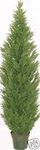 Silk Tree Warehouse One 5 Foot Artificial Topiary Cedar Tree Potted Indoor Outdoor Plant